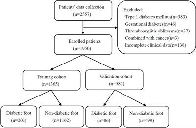 Nomogram Prediction for the Risk of Diabetic Foot in Patients With Type 2 Diabetes Mellitus